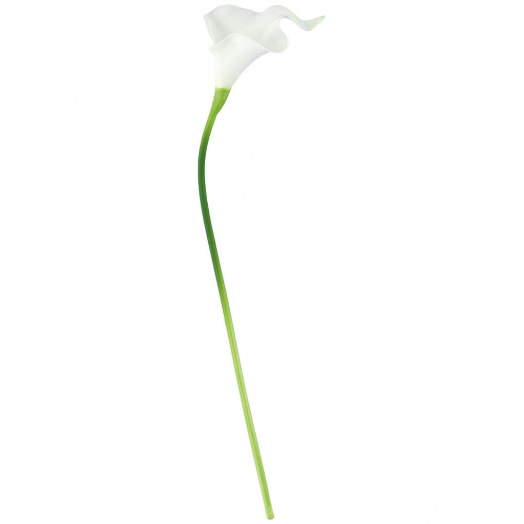 Photography Artificial Flower Washable Decoration 10pcs Indoor Outdoor