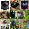5/10PCS Plant Rooting Ball Reusable Root Growing Box Propagation Root Controller For Indoor Outdoor Plants Asexual Reproduction
