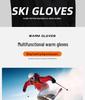 Men's Winter Ski Riding Gloves, Windproof, Touchscreen, Warm Cold Protection for Harbin Northeast Weather.