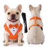 Complete Pet and Leash Set for Everyday Walking , Training and Outdoor Adventures