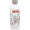 Large One Piece - Reusable Bottle - Portable - Luffy - Nami