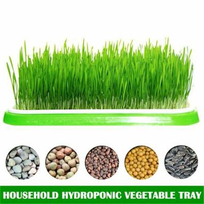 Tray Nursery Pots Soybean Sprout Sprouter Vegetables 1 Set