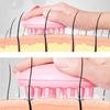 Colored Massage Brushes For Use On Body Meridians Suitable Home Beauty Salons