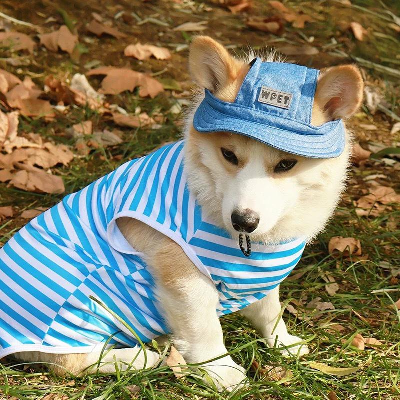 Linen Denim Dog Hat with Ear Holes Summer Outdoor Travel Sport Sun Protection Cap Adjustable Hat for Small Medium Large Dogs