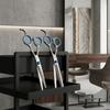 Cheetah Hairdressing Set of Thinning Scissors and Right-Handed Hair Cutting Scissors for Salon