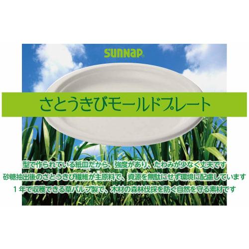 Sunnap Sugarcane Pulp Molds, 18cm, Pack of 50 [Paper Plates, Disposable Disposable Plates, Outdoor Use, Safe Quality, P1850MLD]