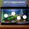 4Pcs Betta Training Mirror Floating Fish Tank Mirror for Betta Fish Self Enjoying and Training Double Side Aquarium Accessory