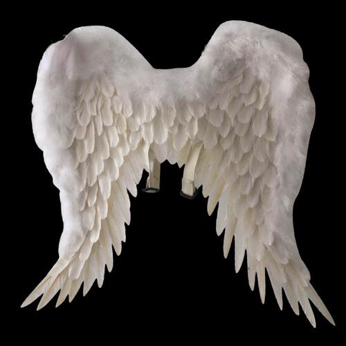 Customized Butterfly Wings for Kids Angel Feather Baby Photography Decorations Party Props Colorful Back Ornaments Small Wings