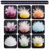 Kids' Crystal Growing Science Kit: DIY Educational Toy for Crafting Crystals