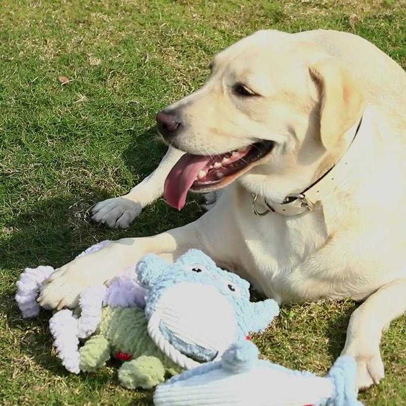 Pet Plush Toys Squeaky Sound Traning Animal Crocodile Teeth Grinding Chewing Bite Resistant Cute Cartoon Dog Toys Pet Supplies