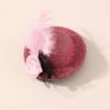 Mini Hat Clip Small Tea Party Top Hat Fascinator Hair Pin with Flower Feather for Girls Birthday Costume Hair Accesories