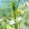Green Plant Fruit Tree Fixing Clips, Snap-on Seedling Support Poles for Vine Climbing, Fruit and Vegetable Seedling Hanging Clamps