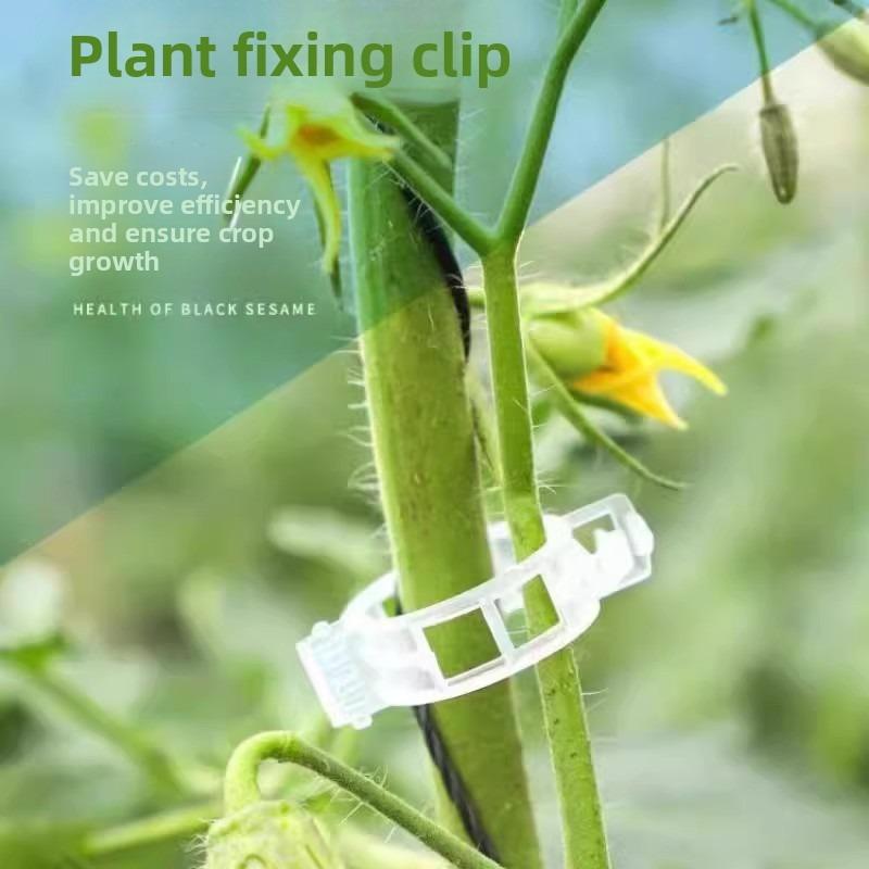 Green Plant Fruit Tree Fixing Clips, Snap-on Seedling Support Poles for Vine Climbing, Fruit and Vegetable Seedling Hanging Clamps
