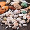 1 Box Natural Shell Conch Starfish Landscape Snail Fish Tank Landscaping Decoration Home Decoration