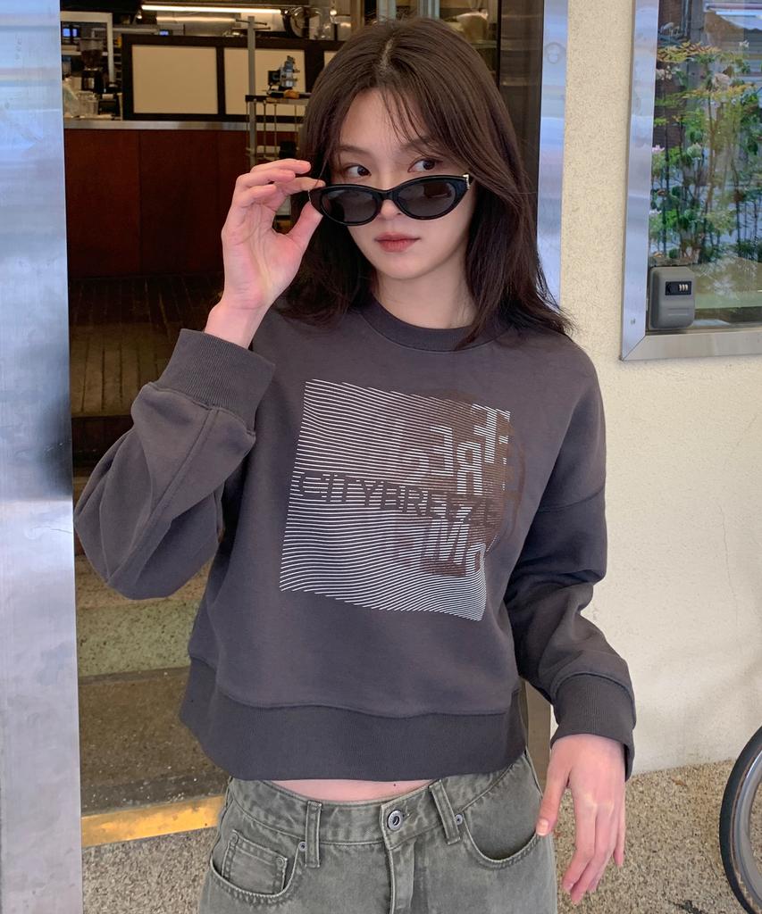 CITYBREEZE Pixel Noise Sweatshirt_2 Colors