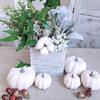 12Pcs White Artificial Pumpkins Assorted Bulk Table Decor Lifelike for All Hallows Day Fall Harvest 