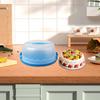 Cake Box, Tray, Container, Pastry Stand, Airtight Lid, Practical Handle, PP Material,