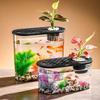 Clear Plastic Fish Tank for Desktop Landscaping - Turtle, Goldfish, Micro Ecosystem Aquarium