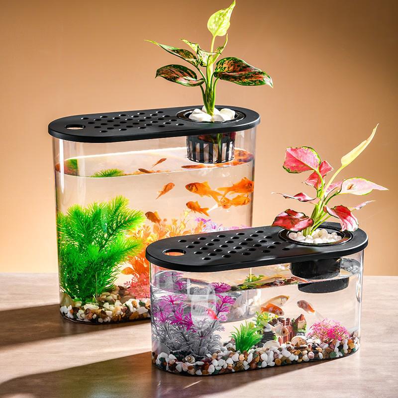 Clear Plastic Fish Tank for Desktop Landscaping - Turtle, Goldfish, Micro Ecosystem Aquarium