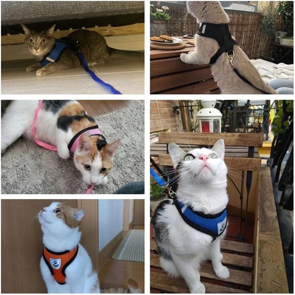 Katzen Geschirr und Leine Set Ausbruchsicheres Kätzchen Geschirr für Katze Kleiner Hund Atmungsaktiv Welpe Haustier Spazierleine Katzenhalsband Zubehör