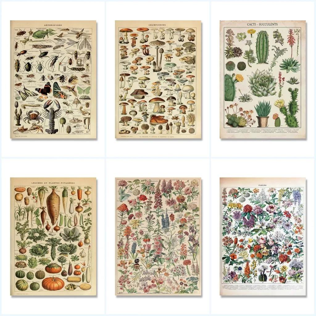 Vintage Adolphe Millot Encyklopedi Affischer och Tryck Botaniska Svampar Kryddväxter Blommor Insekter Canvasmålningar Väggkonst Dekor