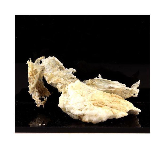 Pierres et Minéraux. Rectorite sur Calcite. 122.0 ct. La Table, Chambéry, France.