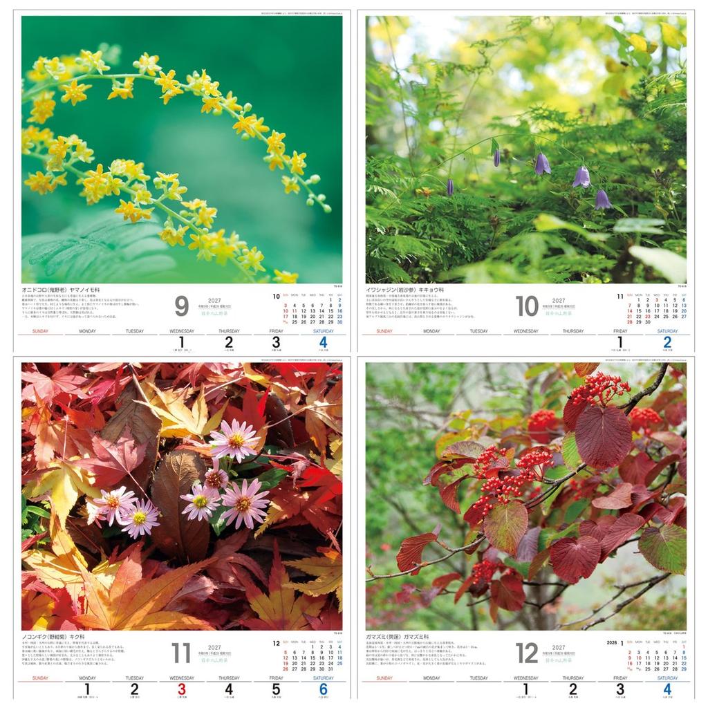 Todan 2027 Wall Calendar Japanese Wildflowers and Plants TD-818