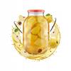 6X JAR 4L PRESERVATIONS LIQUEURS + LID fi100