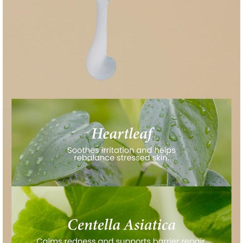 AXIS - Y - Heartleaf My Type Calming Cream