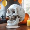 2D Acrylic Ornament Sign Gothic Flat Skull for Cabinet Mantel Halloween