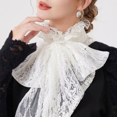 Abnehmbarer Spitzenkragen mit transparentem Rollkragen-Design Victoria Halsband Dekorkragen für Damen Kleider und Blusen