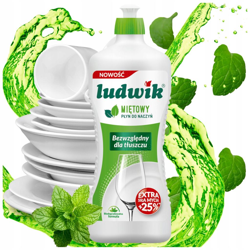 Ludwik Do Mycia Naczyń 500 Ml /450G Mięta