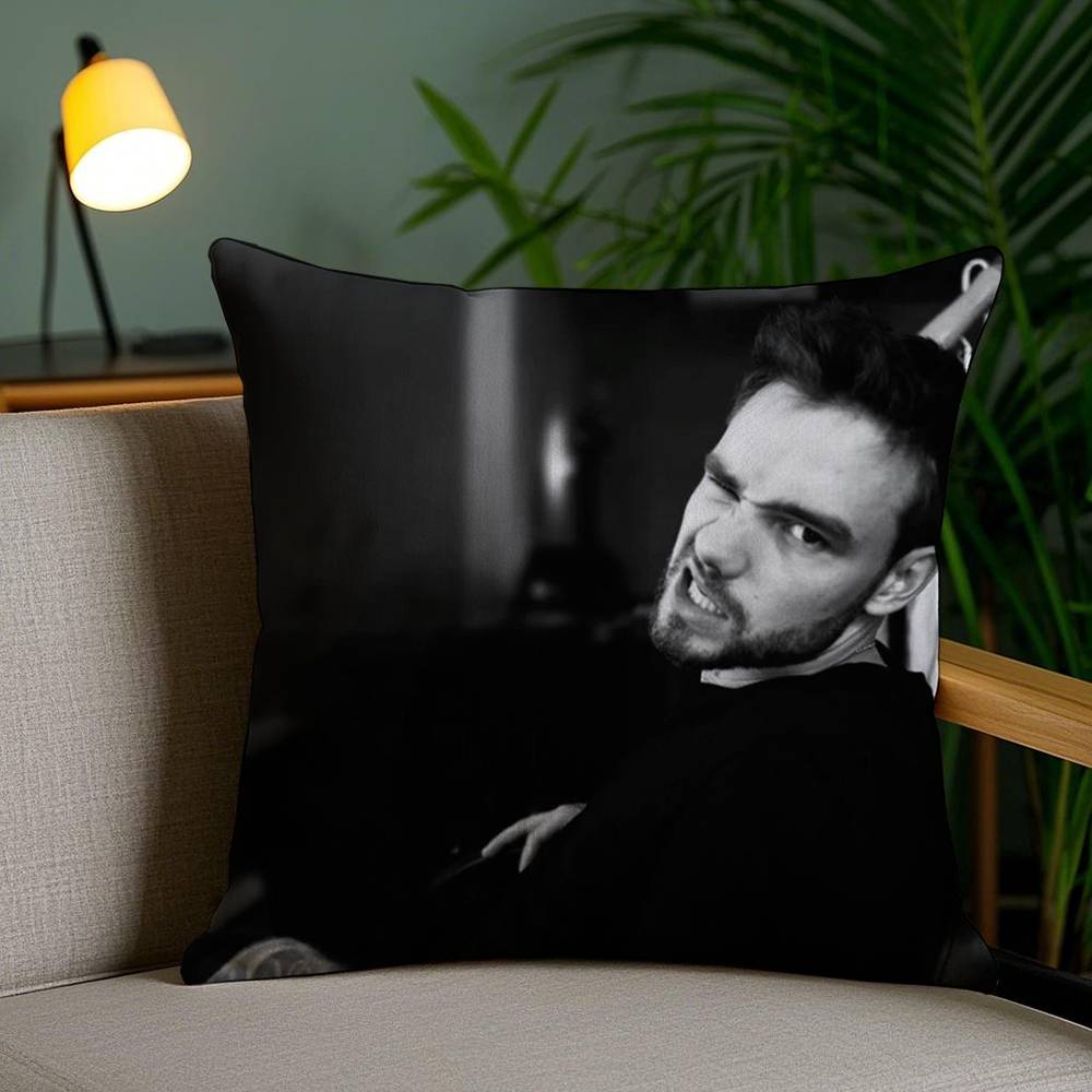 Pillow Case Singer L_Liam Payne Sofa Short Plush Double-Sided Hd Printing Room Home Office Gift Cushion Cover