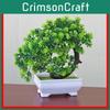Plastic Bonsai Terrarium With Creative Design For Indoor Garden Display