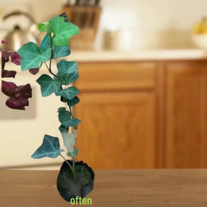 Evergreen Ivy Hanging Basket, Easy-Care Long Vine Plant, Perfect for Living Room, Balcony or Office, Enhances Air Quality.