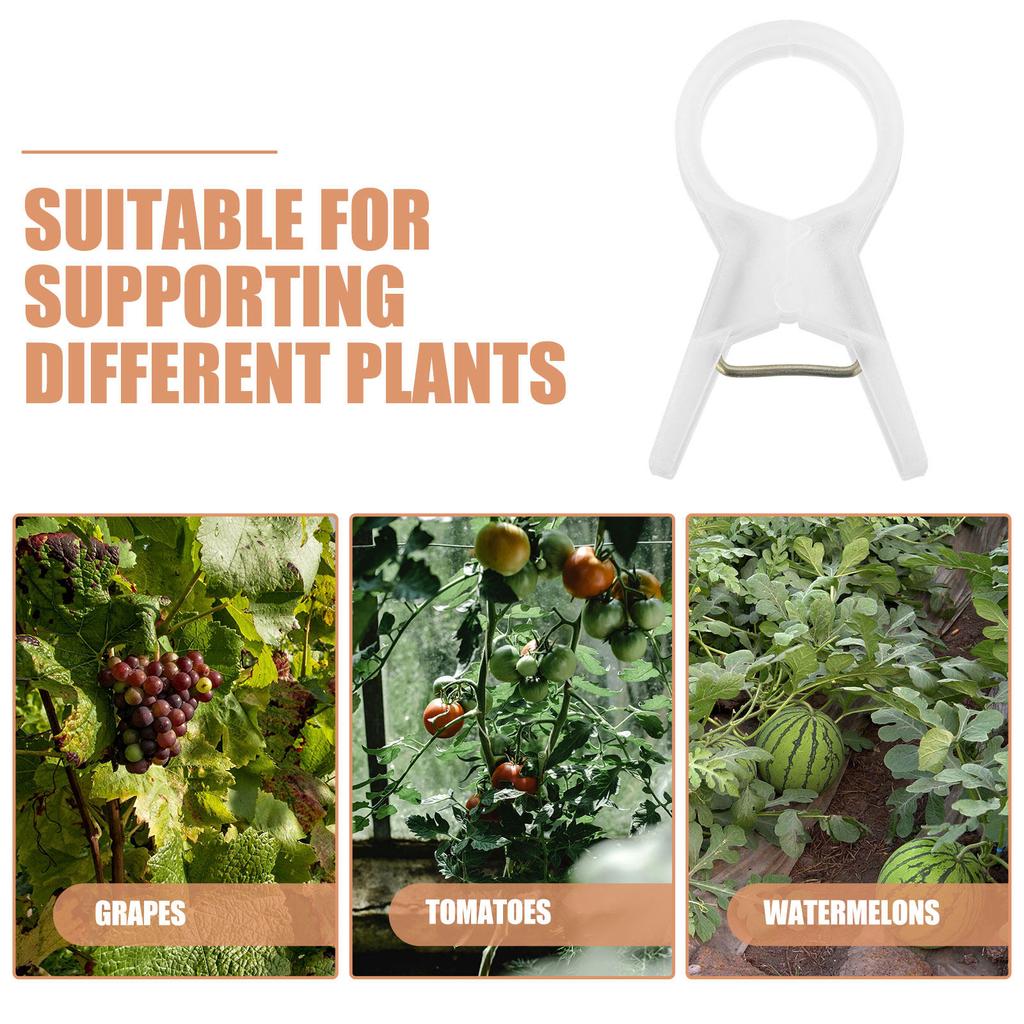 100Pcs Plastic Plant Support Clips Fixing Clips for Garden Tomato Vine Stem Climbing Plants Trellis Support Plant Clip