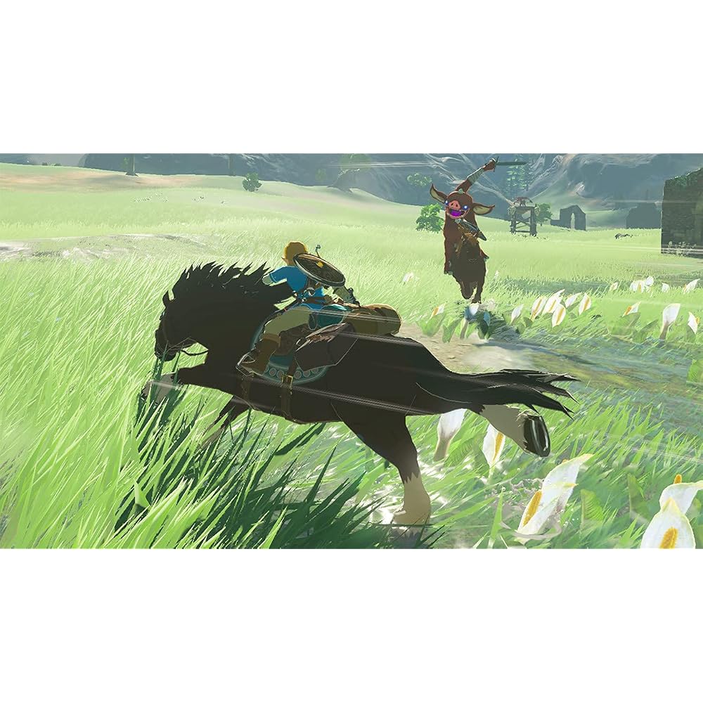 The Legend of Zelda: Breath of the Wild for Nintendo Switch