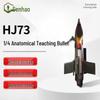 Senhao HJ73 Quarter Dissected Training Bomb Model
