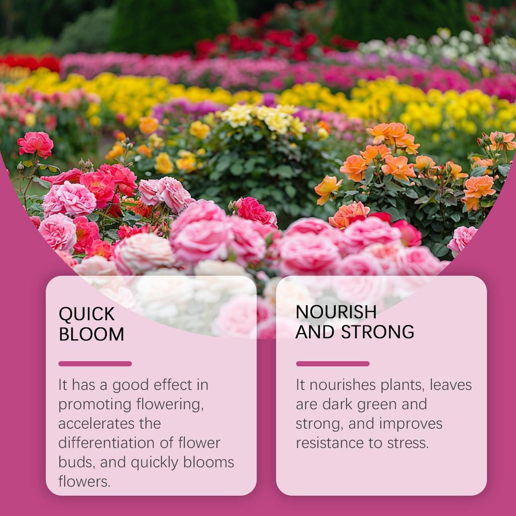 Prášek pro vylepšení květů, A Pro výživu rostlin, Dusík, Fosfor a Draslík, A Vylepšovač plodů a květů