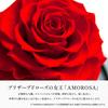 Amorosa Moderno Preserved Flower Destiny Rose Bright Red (Single Stem)