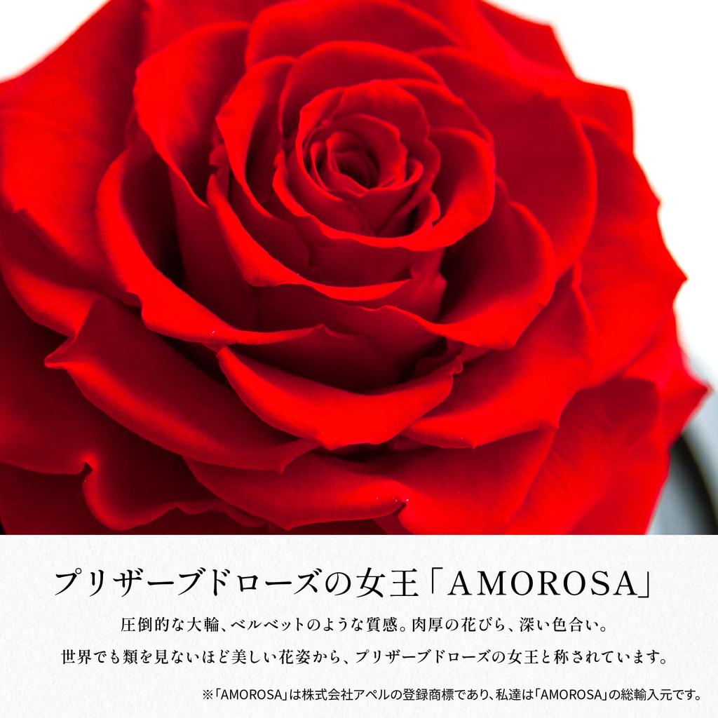 Amorosa Moderno Preserved Flower Destiny Rose Bright Red (Single Stem)