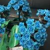 Stavební blok Huazhi Hydrangea Věčný květinový montážní hračka kreativní dárek