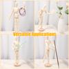3Pcs Wooden Artist Manikin for Drawing Sketch Flexible Body Joints Human Figures Posable Puppet Models Ornaments Home Decoration