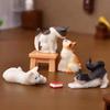 Resin Cats Kitten Miniature Figurine Micro Landscape Home Decor Fairy Garden Ornament Decoration Accessories