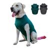 Pet Dogs Spaying Suit Recovery Vest