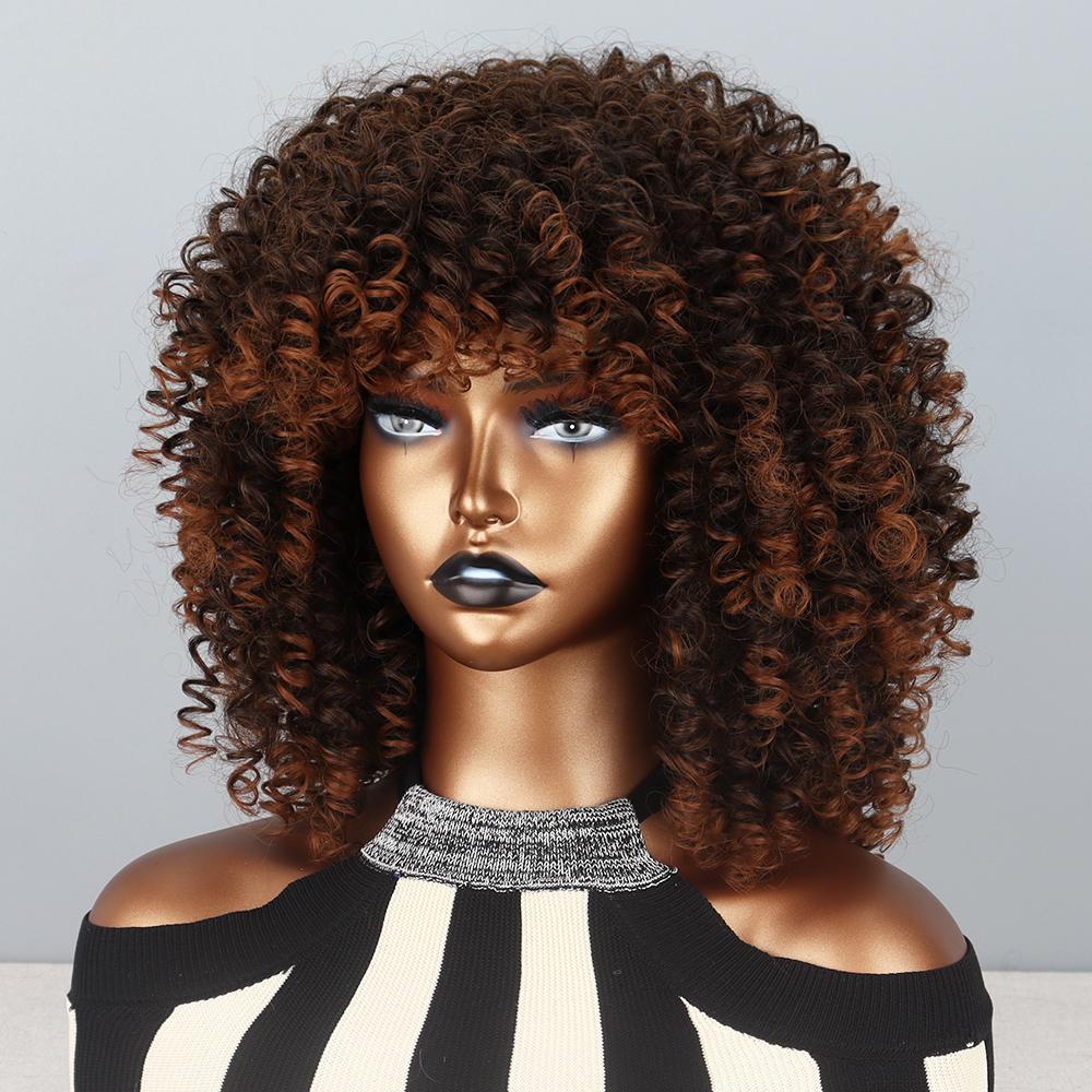 LISI HAIR Afro Women Short Brown Wig Synthetic Fiber Curly Hair Wigs for Women Fluffy Ombre Hairstyle Party Regular Curly Wig