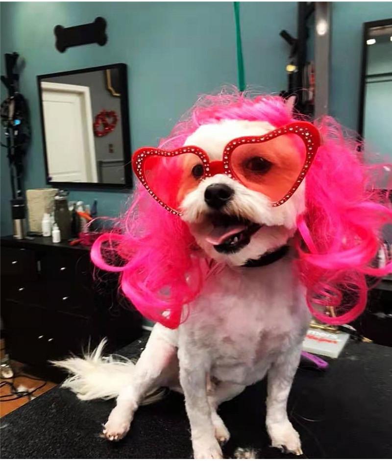 Funny And Colorful Pet Wig For Dogs Cosplay Costume Accessory Ideal For All Occasions