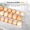 Egg Crate for Refrigerators, Automatic Rolling Design, Holds 28 Eggs, Two-Tier, Transparent, Egg Rack, 32.5cm x 16.5cm x 9cm