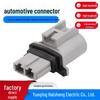 2P Automotive Wire Harness Connector DJ7021Y-4.8-11E, 2-Core, 2-Hole