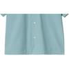 Carhartt WIP Logo Embroidered Single-Breasted Short Sleeve Shirt Unisex shirts Ice-Blue A241008-2CN-XX